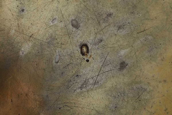 Tazza con pr�sentoir. Argento primo titolo fuso, sbalzato, cesellato e dorato. Parigi, marchio di titolo in uso dal 1809 al 1819  - Asta Argenti del XX secolo - Associazione Nazionale - Case d'Asta italiane