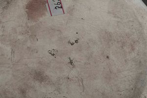 Paiola. Argento fuso, sbalzato e cesellato. Torino seconda met� del XVIII secolo. Contrassaggiatore Giuseppe Vernoni (marchi consunti di difficile lettura)  - Asta Argenti del XX secolo - Associazione Nazionale - Case d'Asta italiane