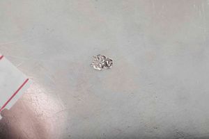 Coppia di alzate. Argento fuso, sbalzato e cesellato. Probabile manifattura veneta, seconda met� del XVIII secolo. Marchio dell'argentiere FV inframezzato da animale rampante (non identificato) e marchi di importazione francesi  - Asta Argenti del XX secolo - Associazione Nazionale - Case d'Asta italiane