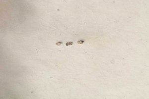 Portagioie. Argento fuso, sagomato e cesellato. Argenteria artistica milanese del XX secolo. Marchio con fascio littorio in uso dal 1935 al 1945  - Asta Argenti del XX secolo - Associazione Nazionale - Case d'Asta italiane