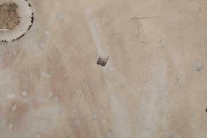 Due importanti legumiere con pr�sentoir. Argento fuso, sbalzato, cesellato e dorato. San Pietroburgo 1869. Assaggiatore B.C. Argentiere N.P (non identificato)  - Asta Argenti del XX secolo - Associazione Nazionale - Case d'Asta italiane