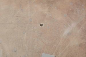 Due importanti legumiere con pr�sentoir. Argento fuso, sbalzato, cesellato e dorato. San Pietroburgo 1869. Assaggiatore B.C. Argentiere N.P (non identificato)  - Asta Argenti del XX secolo - Associazione Nazionale - Case d'Asta italiane