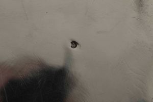 Due importanti legumiere con pr�sentoir. Argento fuso, sbalzato, cesellato e dorato. San Pietroburgo 1869. Assaggiatore B.C. Argentiere N.P (non identificato)  - Asta Argenti del XX secolo - Associazione Nazionale - Case d'Asta italiane