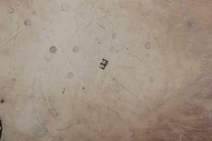 Due importanti legumiere con pr�sentoir. Argento fuso, sbalzato, cesellato e dorato. San Pietroburgo 1869. Assaggiatore B.C. Argentiere N.P (non identificato)  - Asta Argenti del XX secolo - Associazione Nazionale - Case d'Asta italiane