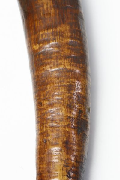 Mangbetu - Repubblica Democratica del Congo : Olifante da caccia.Avorio a patina scura e lucida.Piccoli difetti e segni d'uso.  - Asta Asta 365 | ARTE AFRICANA, OCEANICA E DELLE AMERICHE - ARTE AFRICANA Tradizionale - Associazione Nazionale - Case d'Asta italiane