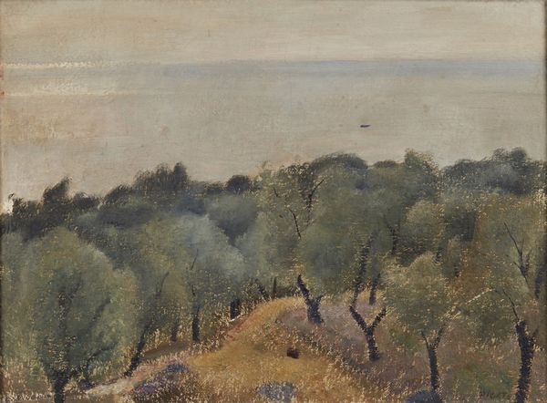 PIGATO ORAZIO  (1896 - 1966) : Lago di Garda  - Asta Asta 367 | ARTE ANTICA E DEL XIX SECOLO Virtuale - Associazione Nazionale - Case d'Asta italiane