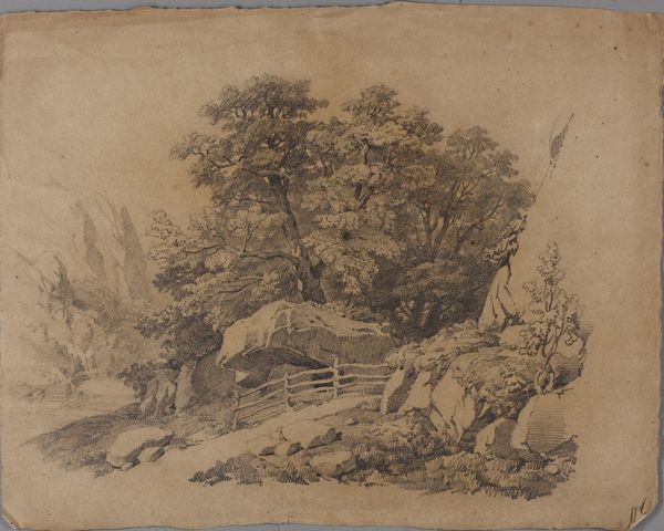 ARTISTA DEL XIX-XX SECOLO : Paesaggio boschivo  - Asta Asta 367 | ARTE ANTICA E DEL XIX SECOLO Virtuale - Associazione Nazionale - Case d'Asta italiane