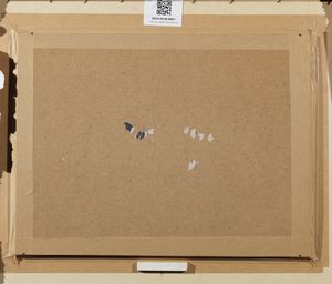 GALANTI PIERO (1885 - 1973) : Paesaggio estivo  - Asta Asta 367 | ARTE ANTICA E DEL XIX SECOLO Virtuale - Associazione Nazionale - Case d'Asta italiane