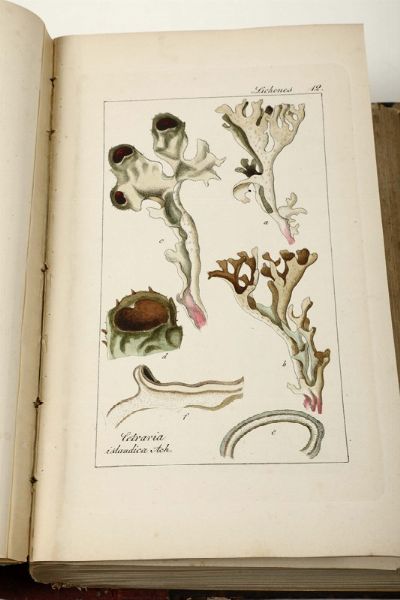 Mitro graphische Beitrage, Halle, 1805  - Asta Libri Antichi e Rari - Associazione Nazionale - Case d'Asta italiane