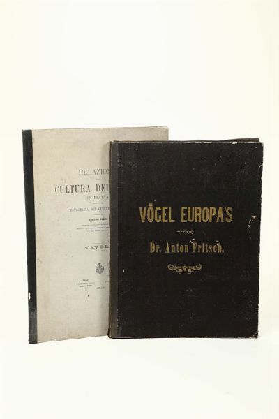Vogel Europa's, Prag, 1871  - Asta Libri Antichi e Rari - Associazione Nazionale - Case d'Asta italiane