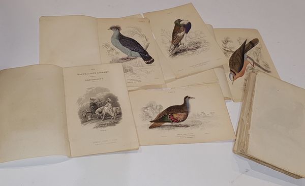 Lotto di 78 stampe a colori raffiguranti uccelli  - Asta Libri Antichi e Rari - Associazione Nazionale - Case d'Asta italiane