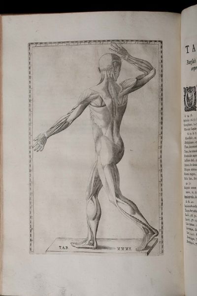 Anatomici summi romanae archetypae tabulae anatomicae..., Roma, Pauli Junchi, 1783  - Asta Libri Antichi e Rari - Associazione Nazionale - Case d'Asta italiane
