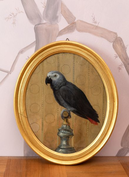 Johann Georg Meyer : Pappagallo  - Asta ECLECTICA, the home of designer Nicol Castellini Baldissera - Associazione Nazionale - Case d'Asta italiane