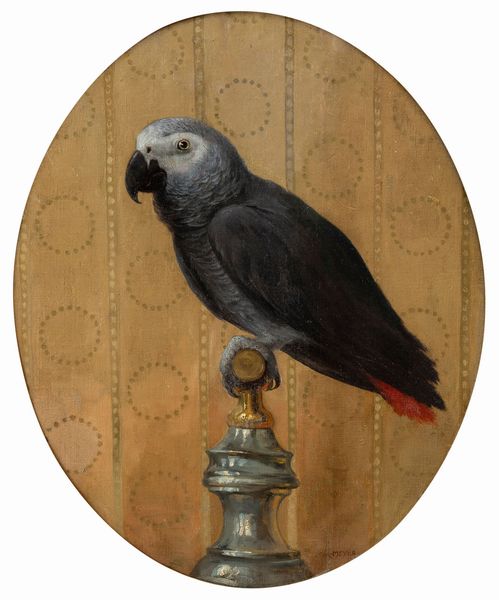 Johann Georg Meyer : Pappagallo  - Asta ECLECTICA, the home of designer Nicol Castellini Baldissera - Associazione Nazionale - Case d'Asta italiane