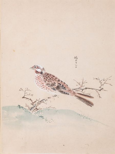 Tre stampe acquerellate su carta a tema ornitologico con iscrizioni. Giappone, XX secolo  - Asta ECLECTICA, the home of designer Nicol Castellini Baldissera - Associazione Nazionale - Case d'Asta italiane