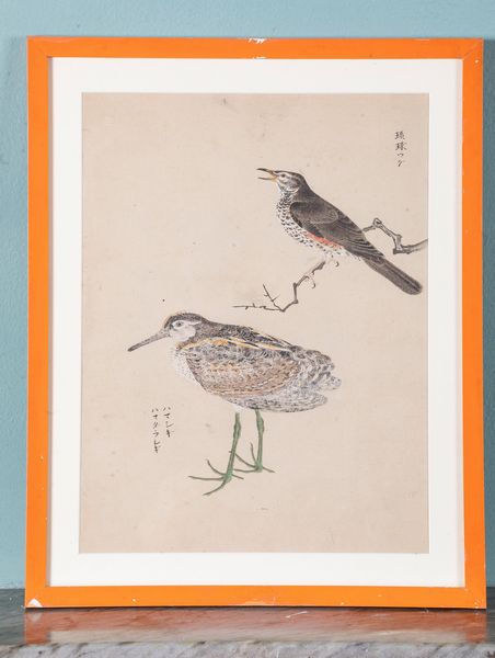 Tre stampe acquerellate su carta a tema ornitologico con iscrizioni. Giappone, XX secolo  - Asta ECLECTICA, the home of designer Nicol Castellini Baldissera - Associazione Nazionale - Case d'Asta italiane