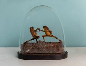 Composizione con rane in duello, tassidermia entro campana di vetro. Inghilterra, fine XIX secolo  - Asta ECLECTICA, the home of designer Nicol Castellini Baldissera - Associazione Nazionale - Case d'Asta italiane