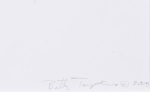 Betty Tompkins : Cunt Grid #2  - Asta ECLECTICA, the home of designer Nicol� Castellini Baldissera - Associazione Nazionale - Case d'Asta italiane