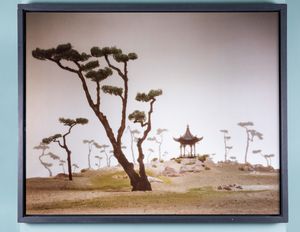 Didier Massard - La Pagode, 1996