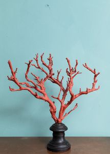 Ramo in legno ad imitazione del corallo. XX secolo  - Asta ECLECTICA, the home of designer Nicol� Castellini Baldissera - Associazione Nazionale - Case d'Asta italiane