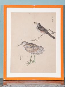 Tre stampe acquerellate su carta a tema ornitologico con iscrizioni. Giappone, XX secolo  - Asta ECLECTICA, the home of designer Nicol Castellini Baldissera - Associazione Nazionale - Case d'Asta italiane