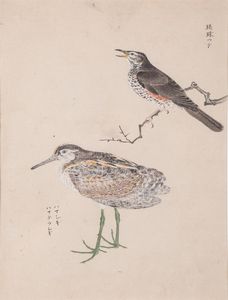 Tre stampe acquerellate su carta a tema ornitologico con iscrizioni. Giappone, XX secolo  - Asta ECLECTICA, the home of designer Nicol Castellini Baldissera - Associazione Nazionale - Case d'Asta italiane