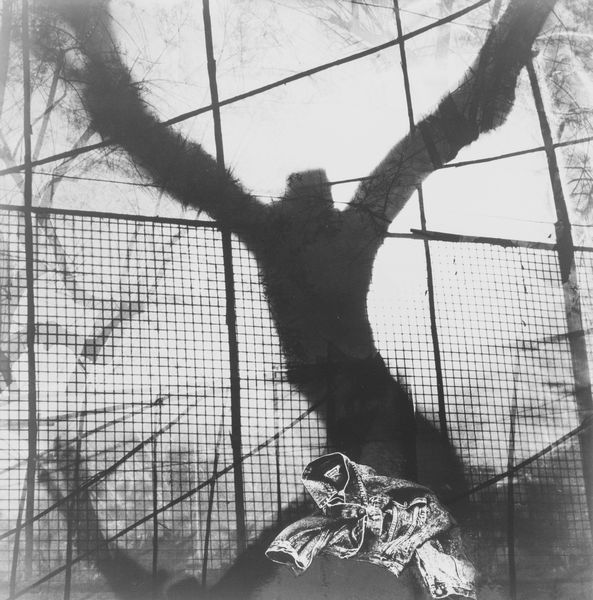 ,MARIO GIACOMELLI : Campagna Levi's  - Asta Fotografia: Under 1K - Associazione Nazionale - Case d'Asta italiane