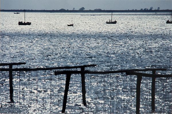 ,Gianni Berengo Gardin : Rovigo  - Asta Fotografia: Under 1K - Associazione Nazionale - Case d'Asta italiane