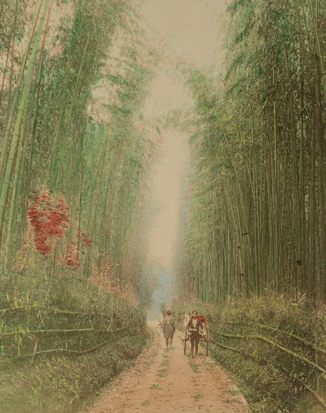 ,Scuola di Yokoama : Senza titolo  - Asta Fotografia: Under 1K - Associazione Nazionale - Case d'Asta italiane