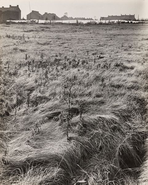 ,Fulvio Roiter : Charleroi, villaggio minerario di Marcinelle  - Asta Fotografia: Under 1K - Associazione Nazionale - Case d'Asta italiane