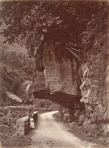 ,William Louis Henry Skeen & Co - Senza titolo, Ceylon