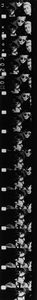 ,Gérard Malanga - Bob Dylan visits the factory with Andy Warhol