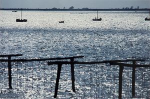 ,Gianni Berengo Gardin - Rovigo