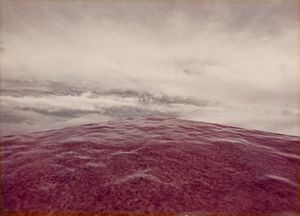 ,Franco Fontana - Senza titolo (Paesaggio)