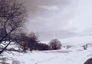 ,ABBAS GHARIB - Composizione cinematica