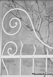 ,Ferruccio Ferroni - Senza titolo