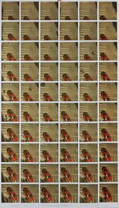 ,MAURIZIO GALIMBERTI - Claudialfa Scarsella Balcony