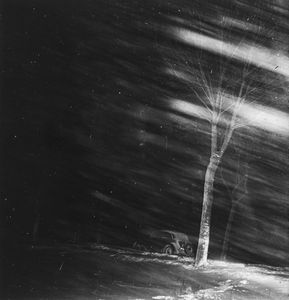 ,Antoni Stankowski - Auto im wehenden