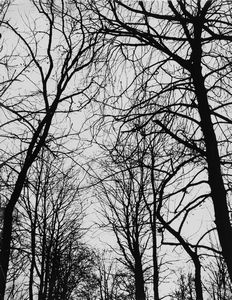 ,Jean Ribiére - Senza titolo