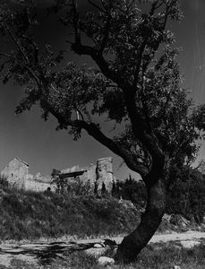 ,René-Jacques - Le Baux de Provence