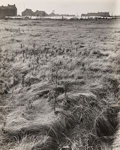,Fulvio Roiter - Charleroi, villaggio minerario di Marcinelle