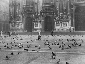 ,G. Caramelli - Milano