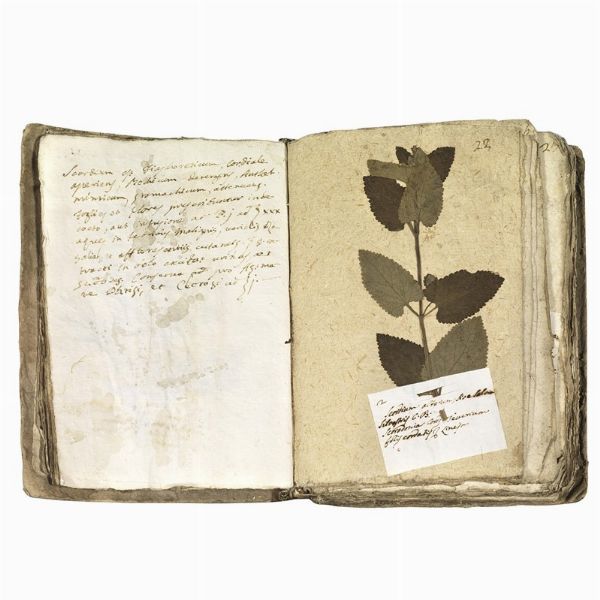 Antico erbario con centinaia di campioni essiccati. Seconda met&agrave; del XVIII secolo.  - Asta Libri, manoscritti e autografi - Associazione Nazionale - Case d'Asta italiane