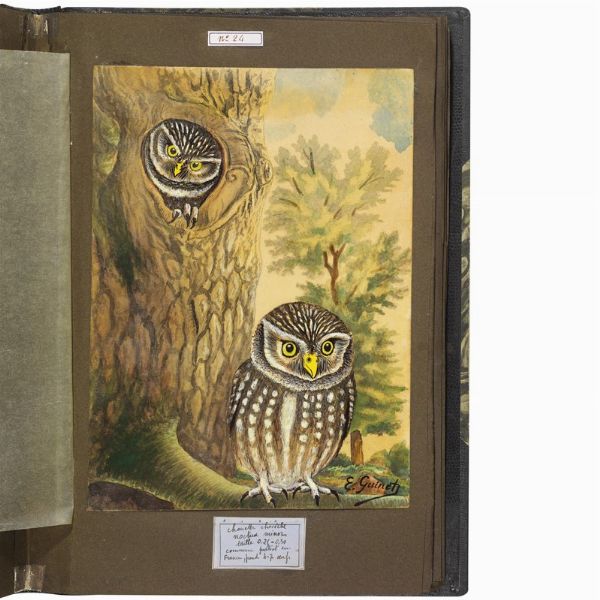 GUINET. E.   Acquarelles d�oiseaux  . 1825.  - Asta Libri, manoscritti e autografi - Associazione Nazionale - Case d'Asta italiane