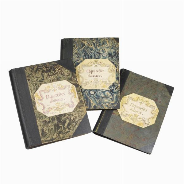 GUINET. E.   Acquarelles d�oiseaux  . 1825.  - Asta Libri, manoscritti e autografi - Associazione Nazionale - Case d'Asta italiane