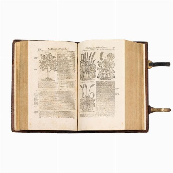 (Botanica - Illustrati 500)   MATTIOLI, Pietro Andrea.   Opera qu&aelig; extant omnia  . [Francoforte], officina Nicolai Bass&aelig;i, 1598.  - Asta Libri, manoscritti e autografi - Associazione Nazionale - Case d'Asta italiane