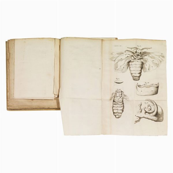 (Scienze naturali - Illustrati 600)   MALPIGHI, Marcello.   Dissertatio epistolica de bombyce.   Londini, apud Joannem Martyn & Jacobum Allestry, 1669.  - Asta Libri, manoscritti e autografi - Associazione Nazionale - Case d'Asta italiane
