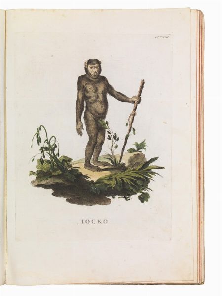 (Storia naturale - Illustrati 700)   Alessandri, Innocente - Scattaglia, Pietro.   Animali quadrupedi dal naturale dissegnati, incisi, e miniati con i lor veri colori da Innocente Alessandri, e Pietro Scattaglia. Parte prima [-quarta].     In Venezia, all&rsquo;insegna della B. Vergine della pace sopra il ponte di Rialto, 1771-1775.  - Asta Libri, manoscritti e autografi - Associazione Nazionale - Case d'Asta italiane