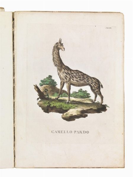 (Storia naturale - Illustrati 700)   Alessandri, Innocente - Scattaglia, Pietro.   Animali quadrupedi dal naturale dissegnati, incisi, e miniati con i lor veri colori da Innocente Alessandri, e Pietro Scattaglia. Parte prima [-quarta].     In Venezia, all&rsquo;insegna della B. Vergine della pace sopra il ponte di Rialto, 1771-1775.  - Asta Libri, manoscritti e autografi - Associazione Nazionale - Case d'Asta italiane