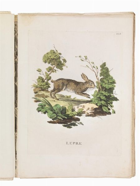 (Storia naturale - Illustrati 700)   Alessandri, Innocente - Scattaglia, Pietro.   Animali quadrupedi dal naturale dissegnati, incisi, e miniati con i lor veri colori da Innocente Alessandri, e Pietro Scattaglia. Parte prima [-quarta].     In Venezia, all&rsquo;insegna della B. Vergine della pace sopra il ponte di Rialto, 1771-1775.  - Asta Libri, manoscritti e autografi - Associazione Nazionale - Case d'Asta italiane